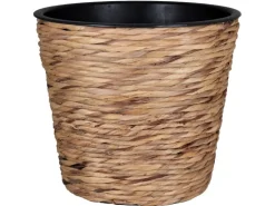 A.H.G. Übertopf mit Wasserhyazinthe Sticking Roll Ø 16 cm x 14 cm Natur