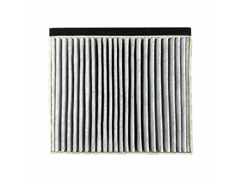 AIR2GO Aktivkohlefilter für Bosch 17006795 / DWZ0DX0A0