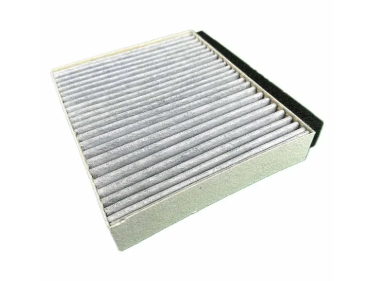 AIR2GO Aktivkohlefilter für Bosch 17006795 / DWZ0DX0A0