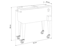 Axi Kühlwagen Retro Mint 76 l