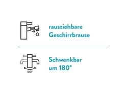 baliv Küchenarmatur mit Wasserspareinsatz & Geschirrbrause KI-1521 Schwarz Matt