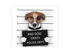 Banjado Herdabdeckplatte Glas 1 Teilig 60x52CM Schneidebrett Herdabdeckung Mit Motiv Bad Dog Jack Russel