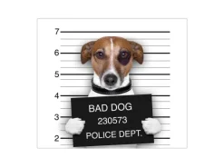 Banjado Herdabdeckplatte Glas 1 Teilig 60x52CM Schneidebrett Herdabdeckung Mit Motiv Bad Dog Jack Russel