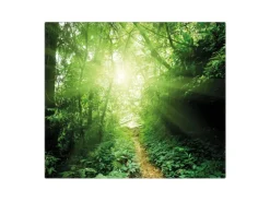 Banjado Herdabdeckplatte Glas 1 Teilig 60x52CM Schneidebrett Herdabdeckung Mit Motiv Dschungel Malaysia