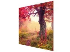 Banjado Herdabdeckplatte Glas 1 Teilig 60x52CM Schneidebrett Herdabdeckung Mit Motiv Lichtung Im Herbst