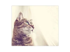 Banjado Herdabdeckplatte Glas 1 Teilig 60x52CM Schneidebrett Herdabdeckung Mit Motiv Holgerson