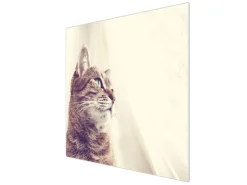 Banjado Herdabdeckplatte Glas 1 Teilig 60x52CM Schneidebrett Herdabdeckung Mit Motiv Holgerson