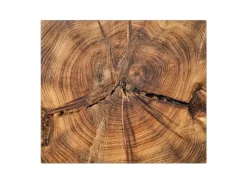 Banjado Herdabdeckplatte Glas 1 Teilig 60x52CM Schneidebrett Herdabdeckung Mit Motiv Jahresringe