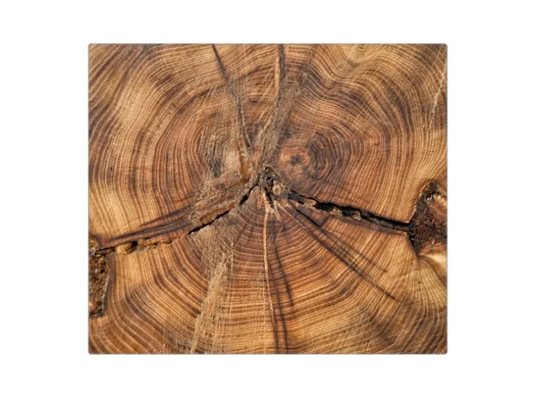 Banjado Herdabdeckplatte Glas 1 Teilig 60x52CM Schneidebrett Herdabdeckung Mit Motiv Jahresringe