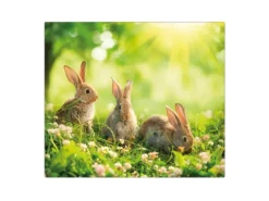 Banjado Herdabdeckplatte Glas 1 Teilig 60x52CM Schneidebrett Herdabdeckung Mit Motiv Drei Hasen