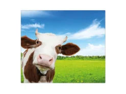 Banjado Herdabdeckplatte Glas 1 Teilig 60x52CM Schneidebrett Herdabdeckung Mit Motiv Pardon