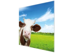 Banjado Herdabdeckplatte Glas 1 Teilig 60x52CM Schneidebrett Herdabdeckung Mit Motiv Pardon