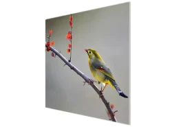 Banjado Herdabdeckplatte Glas 1 Teilig 60x52CM Schneidebrett Herdabdeckung Mit Motiv Herbst Vogel