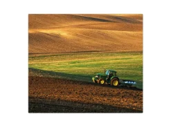 Banjado Herdabdeckplatte Glas 1 Teilig 60x52CM Schneidebrett Herdabdeckung Mit Motiv Pflügen