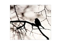 Banjado Herdabdeckplatte Glas 1 Teilig 60x52CM Schneidebrett Herdabdeckung Mit Motiv Früher Vogel