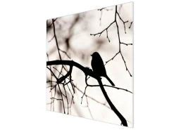 Banjado Herdabdeckplatte Glas 1 Teilig 60x52CM Schneidebrett Herdabdeckung Mit Motiv Früher Vogel