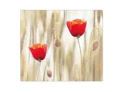 Banjado Herdabdeckplatte Glas 1 Teilig 60x52CM Schneidebrett Herdabdeckung Mit Motiv Klatschmohn