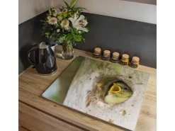 Banjado Herdabdeckplatte Glas 1 Teilig 60x52CM Schneidebrett Herdabdeckung Mit Motiv Blaumeise