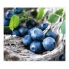 Banjado Herdabdeckplatte Glas 1 Teilig 60x52CM Schneidebrett Herdabdeckung Mit Motiv Blaubeeren