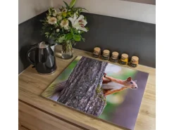 Banjado Herdabdeckplatte Glas 1 Teilig 60x52CM Schneidebrett Herdabdeckung Mit Motiv Eichhörnchen