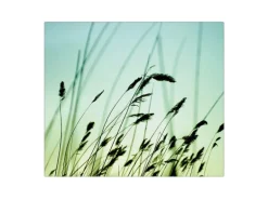 Banjado Herdabdeckplatte Glas 1 Teilig 60x52CM Schneidebrett Herdabdeckung Mit Motiv Gräser