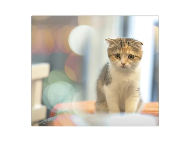 Banjado Herdabdeckplatte Glas 1 Teilig 60x52CM Schneidebrett Herdabdeckung Mit Motiv Kleine Katze