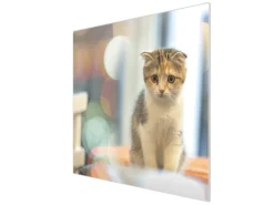 Banjado Herdabdeckplatte Glas 1 Teilig 60x52CM Schneidebrett Herdabdeckung Mit Motiv Kleine Katze