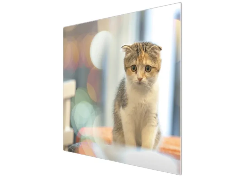 Banjado Herdabdeckplatte Glas 1 Teilig 60x52CM Schneidebrett Herdabdeckung Mit Motiv Kleine Katze