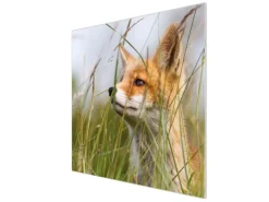 Banjado Herdabdeckplatte Glas 1 Teilig 60x52CM Schneidebrett Herdabdeckung Mit Motiv Fuchs