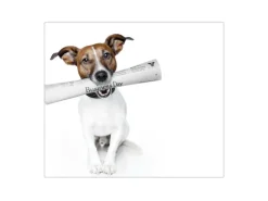 Banjado Herdabdeckplatte Glas 1 Teilig 60x52CM Schneidebrett Herdabdeckung Mit Motiv Business Day