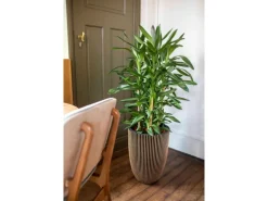 Capi Pflanzgefäß Elegant Niedrig Groove Ø 46 cm x 58 cm Schwarz