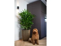 Capi Pflanzgefäß Elegant Niedrig Groove Ø 46 cm x 58 cm Schwarz