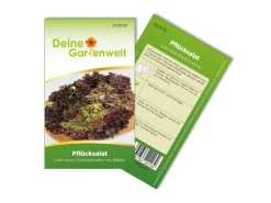 Deine Gartenwelt Pflücksalat Lollo Rossa Samen