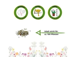 Deine Gartenwelt Pflücksalat Lollo Rossa Samen