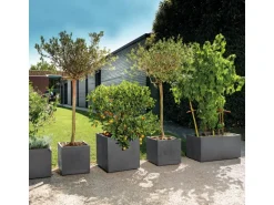 Deroma Pflanzkübel Cubo Millennium 25 cm x 25 cm x 25 cm Anthrazit