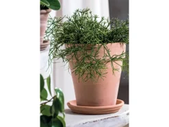 Deroma Pflanztopf Alto Duo Ø 22 cm x 25 cm White Weiß gestreift