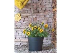 Deroma Pflanztopf Origin Plant Pot 38 cm Anthrazit
