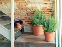 Deroma Pflanztopf Zylinder Bordato 33 cm Rot