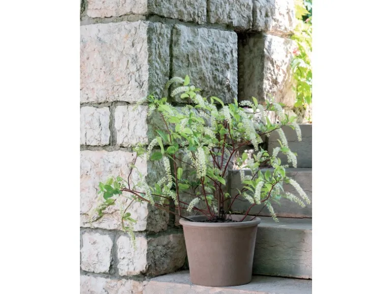 Deroma Pflanztopf Zylinder Primitivo Ø 28 cm Graphit