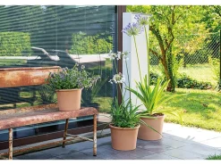 Deroma Pflanztopf Zylinder Bordato 38 cm Weiß