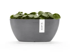 Ecopots Pflanzschale Sofia 30 cm x 13 cm Oval Grau
