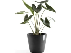 Ecopots Pflanztopf Amsterdam Dunkelgrau Ø 40 cm / Höhe 35 cm