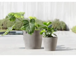 Ecopots Pflanztopf Amsterdam Braungrau 20 cm