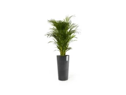 Ecopots Pflanztopf Amsterdam Halbhoch Dunkelgrau 34 cm x 66 cm