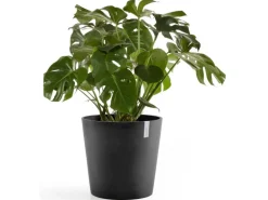 Ecopots Pflanztopf Amsterdam Dunkelgrau 60 cm