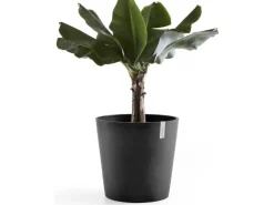 Ecopots Pflanztopf Amsterdam Dunkelgrau 60 cm