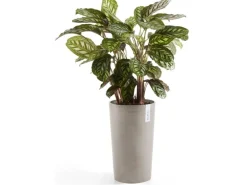 Ecopots Pflanztopf Amsterdam halbhoch Braungrau 50 cm