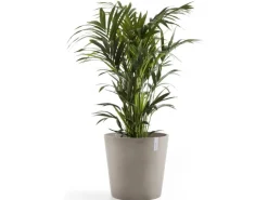 Ecopots Pflanztopf Amsterdam Braungrau 60 cm