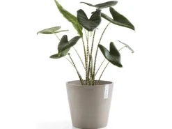 Ecopots Pflanztopf Amsterdam Braungrau 40 cm