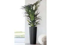 Ecopots Pflanztopf Amsterdam hoch Dunkelgrau 70 cm